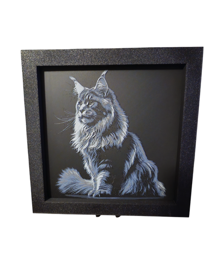 Majestic Maine Coon