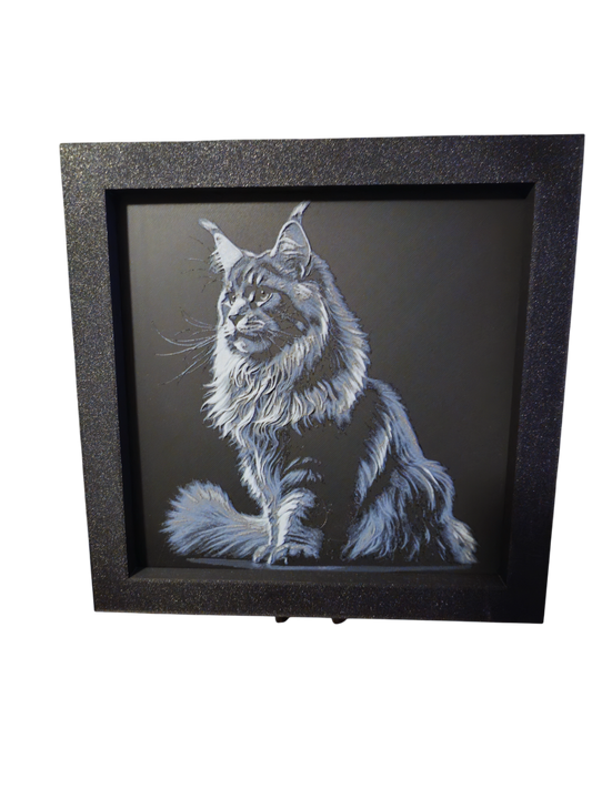 Majestic Maine Coon